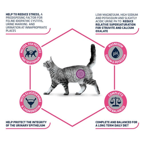 Affinity Advance Veterinary Diets Urinary Stress Katze – Bild 5