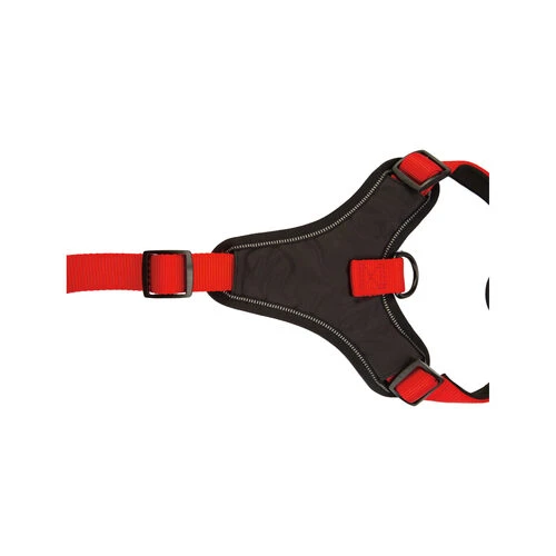 Beeztees Parinca Premium Y-Geschirr – Bild 3