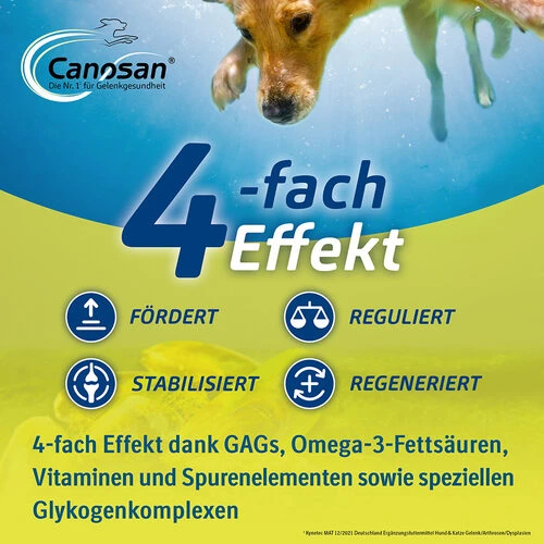 Canosan® Kautabletten Für Hunde – Bild 5