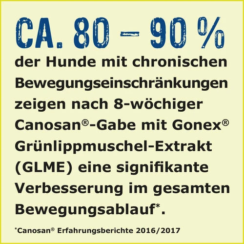 Canosan® Kautabletten Für Hunde – Bild 7