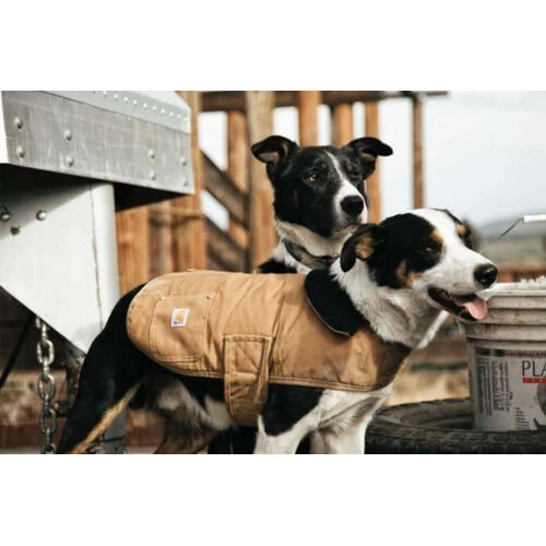 Carhartt Dog Chore Coat – Bild 6