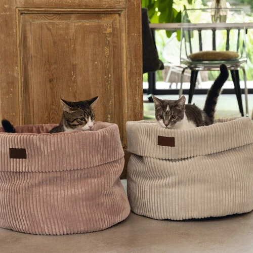 Designed By Lotte Gerippter Katzenkorb – Bild 8