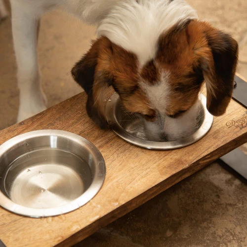 Designed By Lotte Holz-Dinerset Karinto – Bild 4