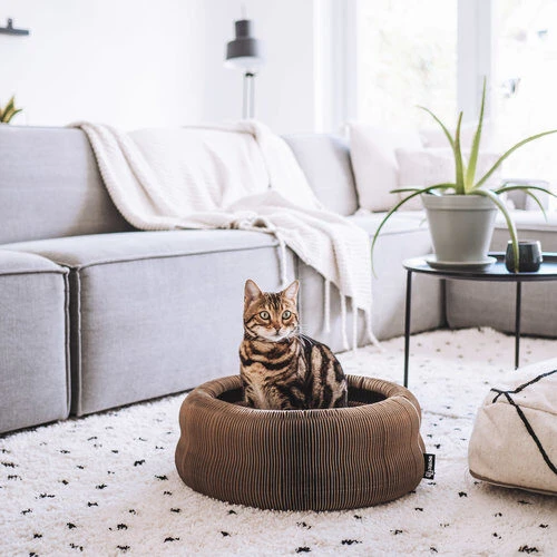 District 70 Maze – Bild 2