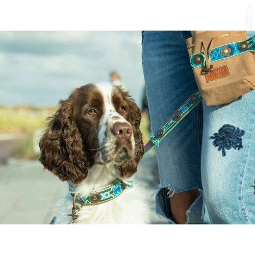 DWAM Hundeleine Boho Juan – Bild 2