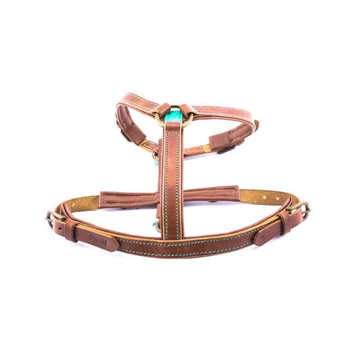 DWAM Hundegeschirr Boho Juan â Bild 2