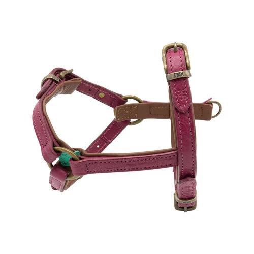 DWAM Hundegeschirr Lou Lou – Bild 2