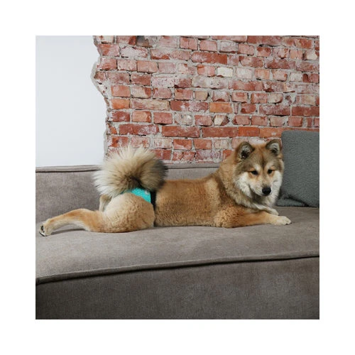 Ebi Läufigkeitshose – Bild 2