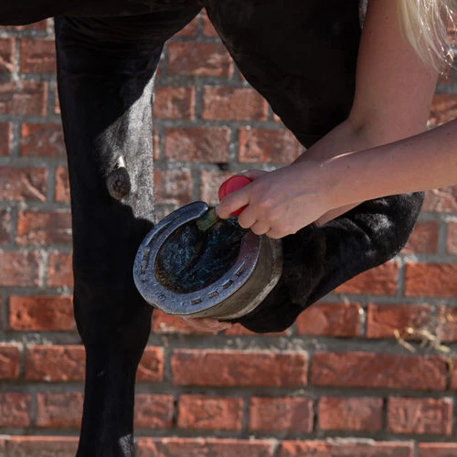 Equi Protecta Blue Wonder Gel â Bild 3