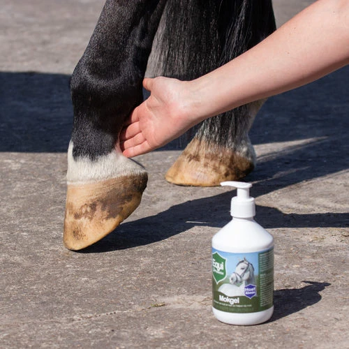 Equi Protecta Mallanders Gel – Bild 3