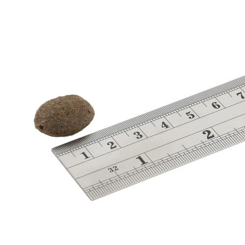 Fish4Dogs Finest Adult Complete - Lachs Große Brocken – Bild 2