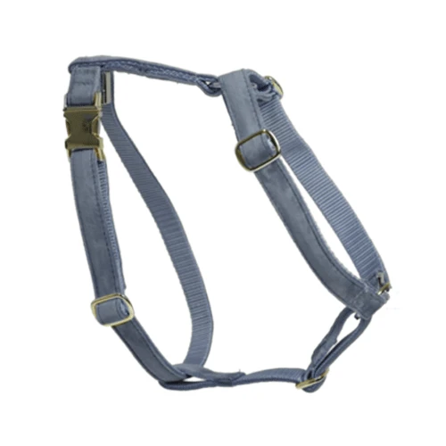 Kentucky Dogwear Hundegeschirr Velvet Loop – Bild 7