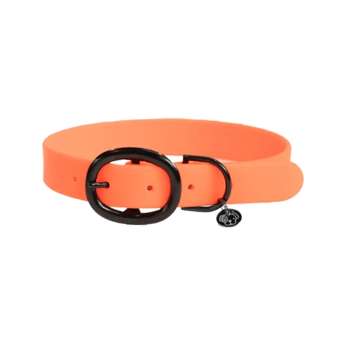 Kentucky Dogwear Soft Rubber Hundehalsband – Bild 3