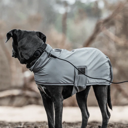 Kentucky Dogwear Soft Rubber Hundehalsband – Bild 4