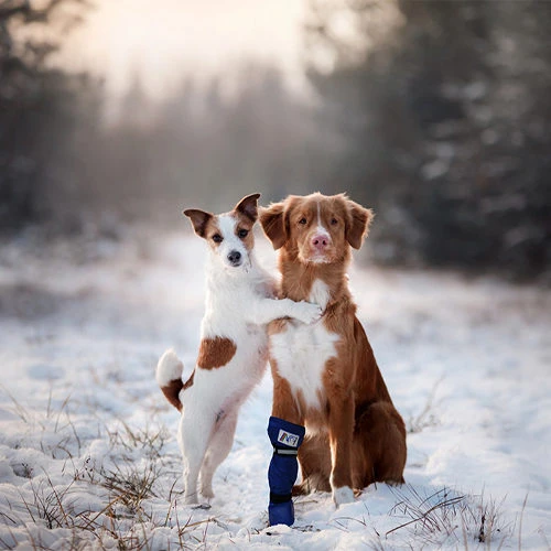 Medical Pet Shirt Boot – Bild 8