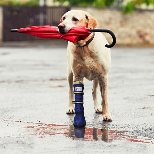 Medical Pet Shirt Boot – Bild 9