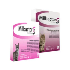 Milbactor Katze