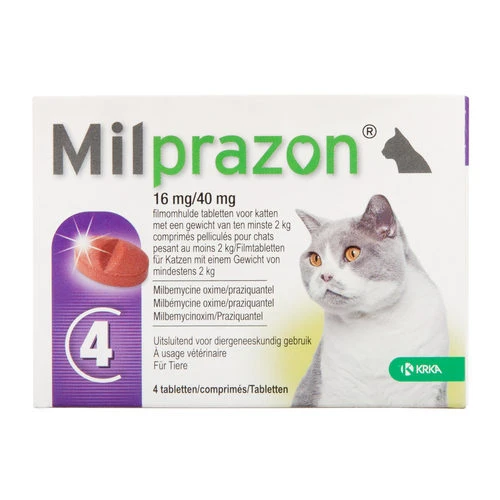 Milprazon Für Katzen – Bild 6