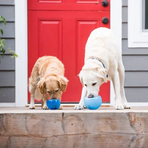 Planet Dog Orbee-Tuff Lil’ Snoop Toy – Bild 10