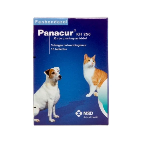 Panacur Hund Und Katze – Bild 3