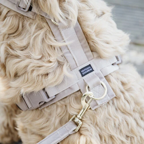 Kentucky Dog Harness Active Velvet – Bild 3