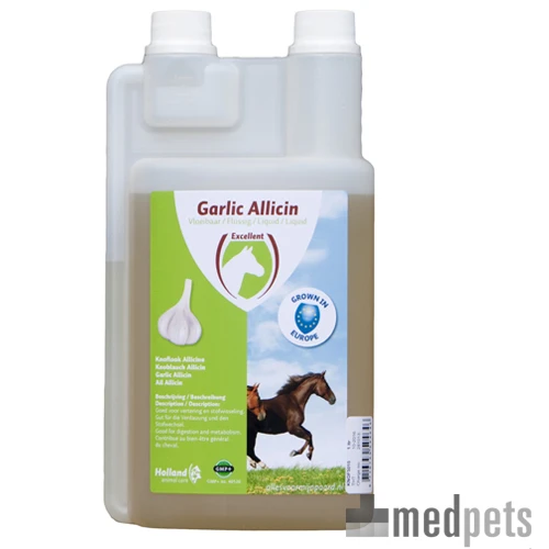 Excellent Garlic Allicin Liquid – Bild 2