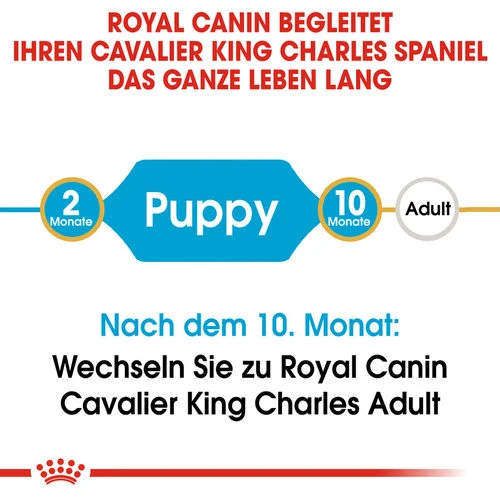 Royal Canin Cavalier King Charles Puppy - Hundefutter – Bild 6