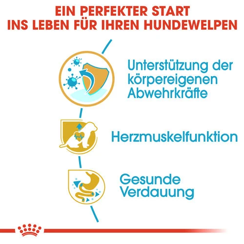 Royal Canin Cavalier King Charles Puppy - Hundefutter – Bild 3