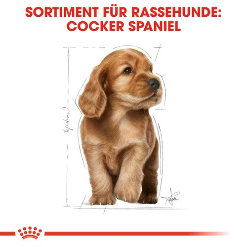 Royal Canin Cocker Puppy - Hundefutter – Bild 4