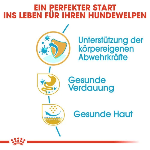 Royal Canin French Bulldog Puppy - Hundefutter – Bild 2