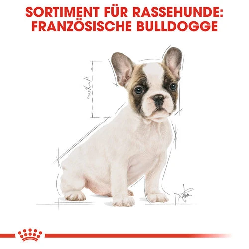 Royal Canin French Bulldog Puppy - Hundefutter – Bild 4
