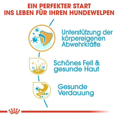 Royal Canin Golden Retriever Puppy - Hundefutter – Bild 2