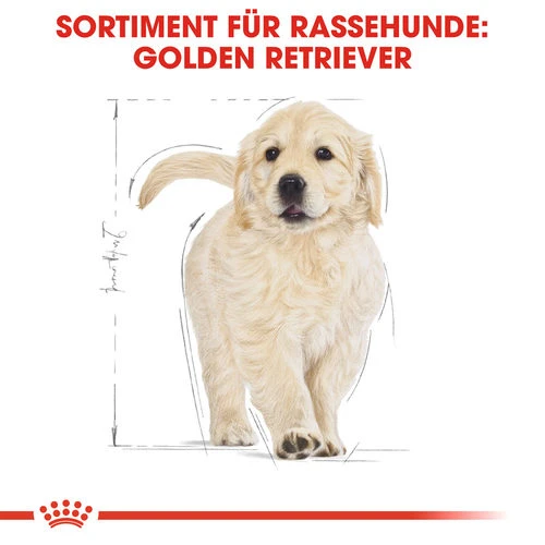 Royal Canin Golden Retriever Puppy - Hundefutter – Bild 4