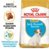 Royal Canin Jack Russell Terrier Puppy - Hundefutter