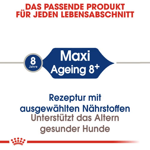 Royal Canin Maxi Ageing 8+ - Hundefutter – Bild 4