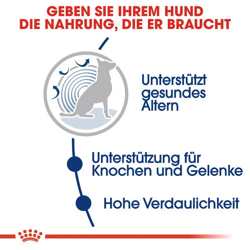 Royal Canin Maxi Ageing 8+ - Hundefutter – Bild 3