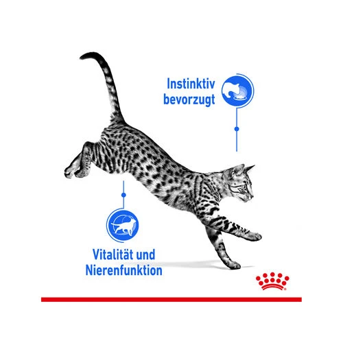 Royal Canin Sterilised Indoor 7+ In Gravy – Bild 7