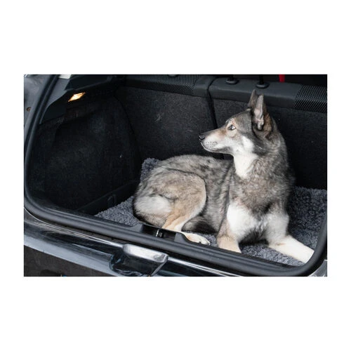 Royal Dry Doormat – Bild 4