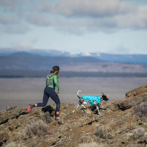 Ruffwear Wind Sprinter Jacket – Bild 4