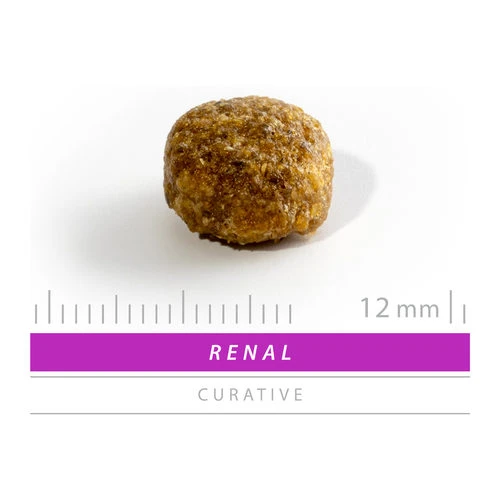 SANIMED Renal/Liver/Stones Dog – Bild 3