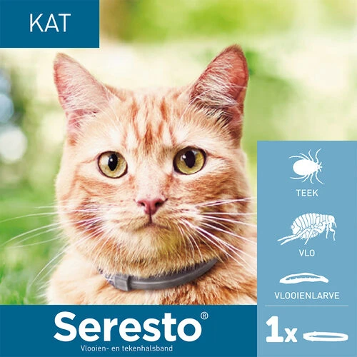 Seresto Für Katzen – Bild 2