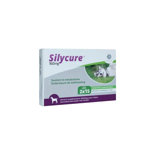 Silycure – Bild 3