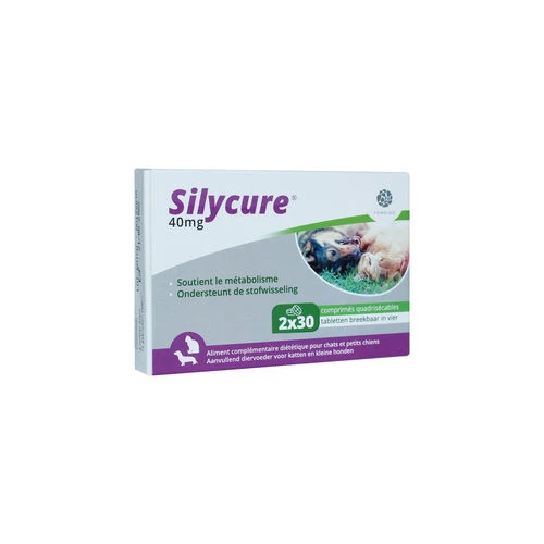 Silycure – Bild 2
