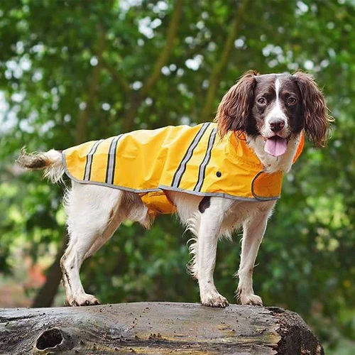 Sötnos Hunderegenmantel – Bild 2