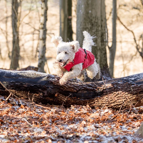 Trixie Regenjacke Vimy – Bild 3