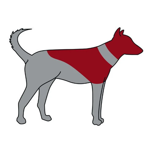 ZenPet Pro Collar – Bild 4