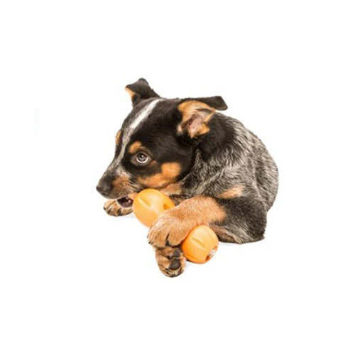 Zogoflex Qwizl – Bild 3